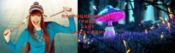 метадон Бородино