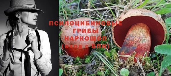 ECSTASY Бугульма