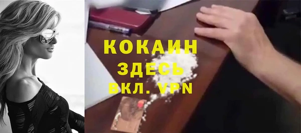 ГАЛЛЮЦИНОГЕННЫЕ ГРИБЫ Верея