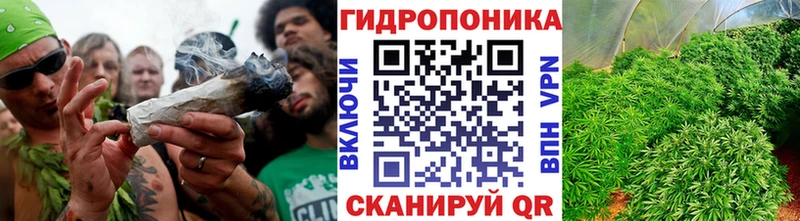 где продают   Янаул  Каннабис Amnesia 